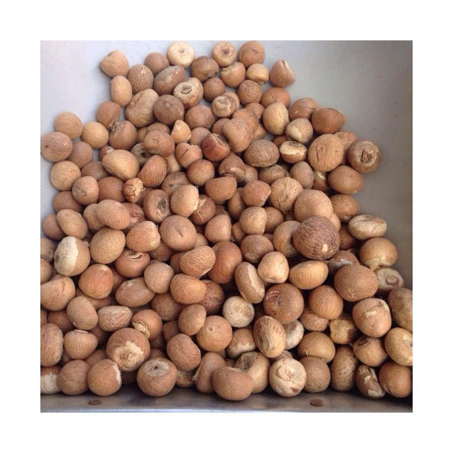 Дешевая цена Betel Nut(Ms. Ли: + 84987731263)