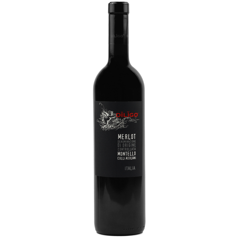 Итальянское красное вино Merlot DOC 75cl прилежно
