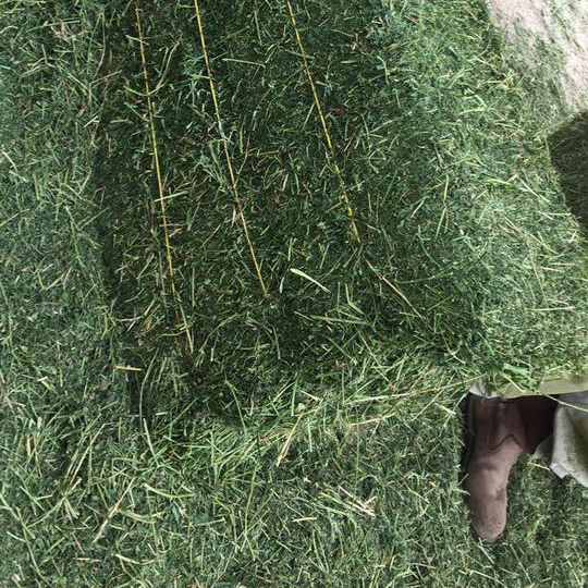 Quality ALFAFA HAY IN BALES, TIMOTHY HAY AND ALFAFA HAY PELLETS FOR SALE