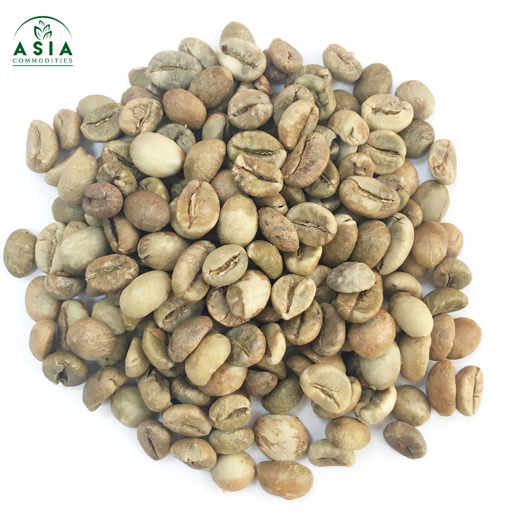 robusta Coffee Beans grade 1 screen 18 wet polished WHATSAPP +84 976686134