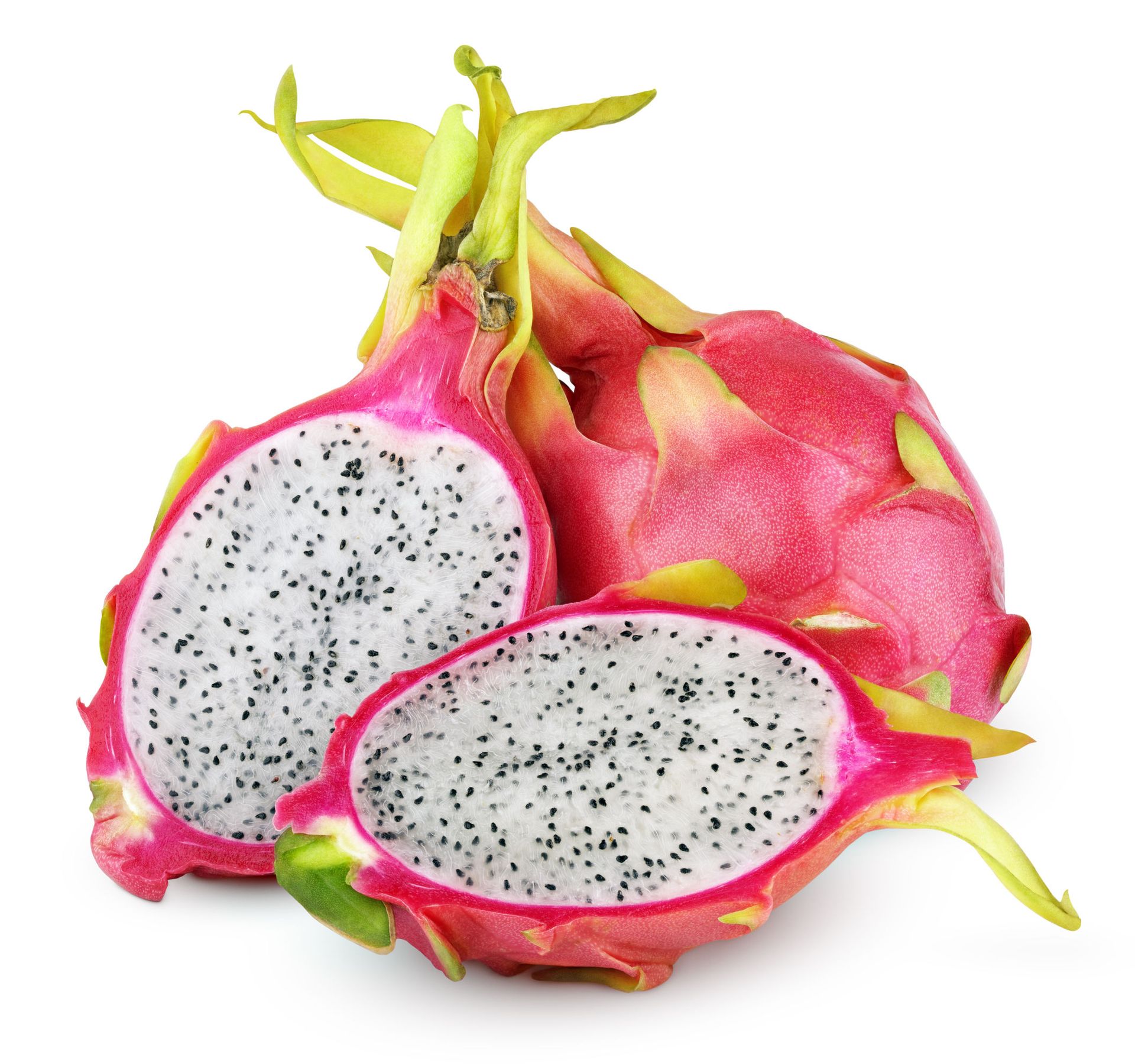 Dragon fruit with white flesh ensures quality and meets export standards, 100% natural and exported to many markets