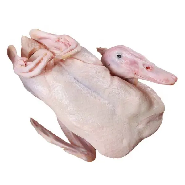 Wholesale Frozen Duck Meat