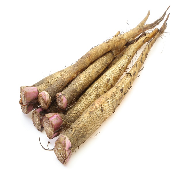 Резак Fresh Burdock, оптовая продажа, дешевый резак Fresh Burdock