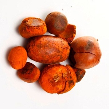 Natural Pure Bovine/Cow/Ox Gallstones