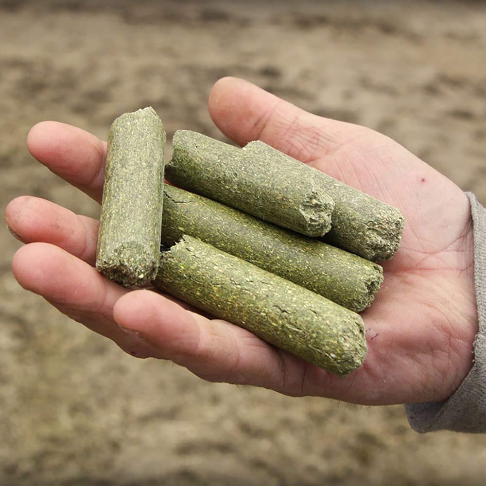 Alfalfa Pellets / Cubes for Animal Feeding FRESH HAY