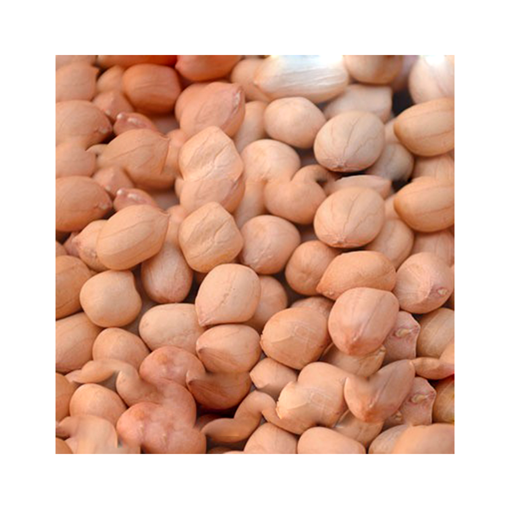 Raw Java Peanuts 100% Gluten-Free Natural Organic Highly Nutritious Top Best Selling Fresh Quality Ground Nut Peanut Kernel