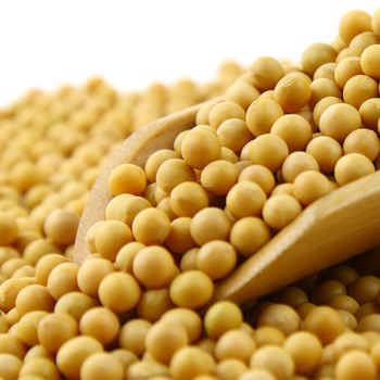 Соевые бобы NON-GMO соевые бобы сои укороченный высококачественного соевого/соевых бобов