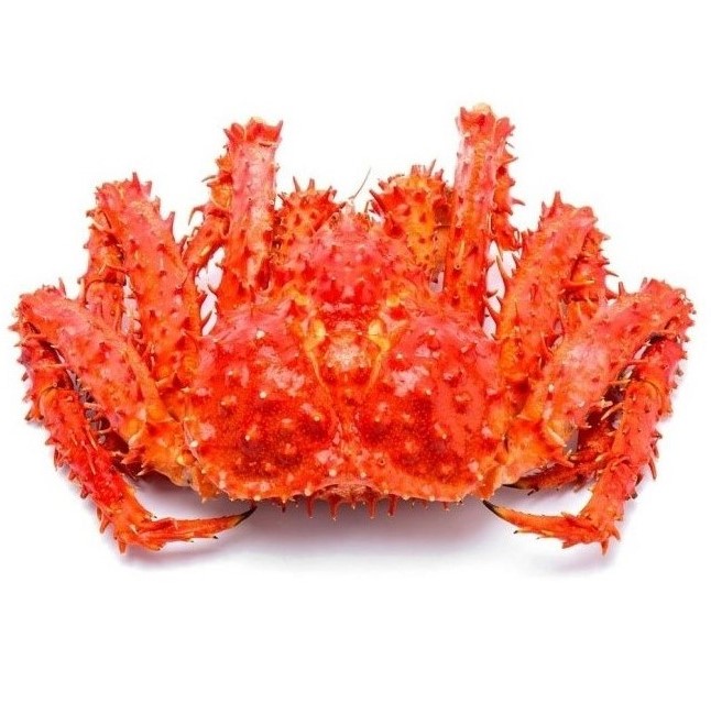 Hot Sales Fresh Live Red King Crab Norwegian King Crab Alaskan King Crab