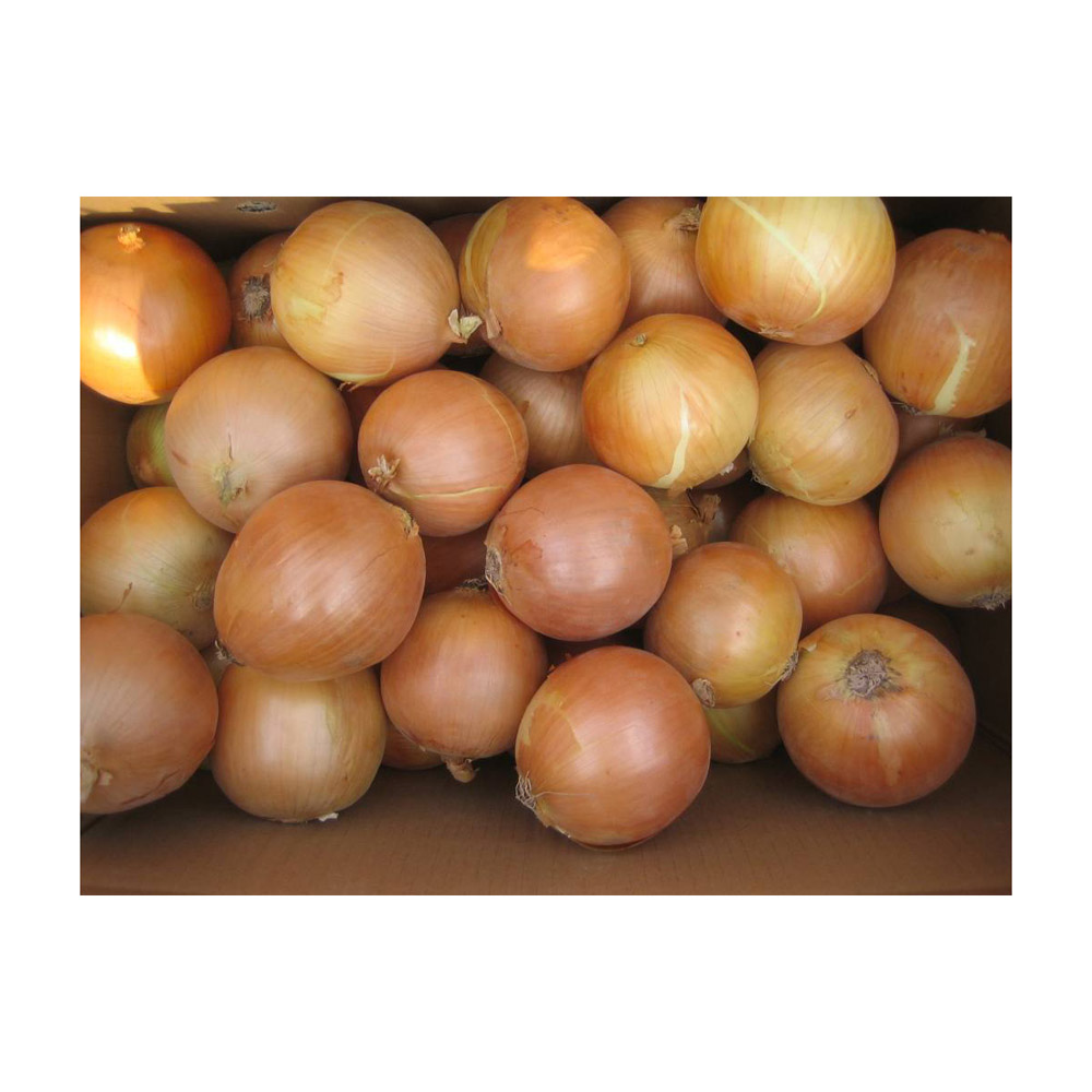Лук