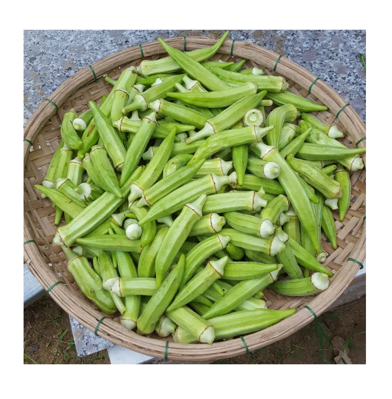 Hot Selling Fresh Vegetable Okra 100% Premium Quality Organic Ladies Finger/Fresh Okra Export made in Vietnam Box Packing