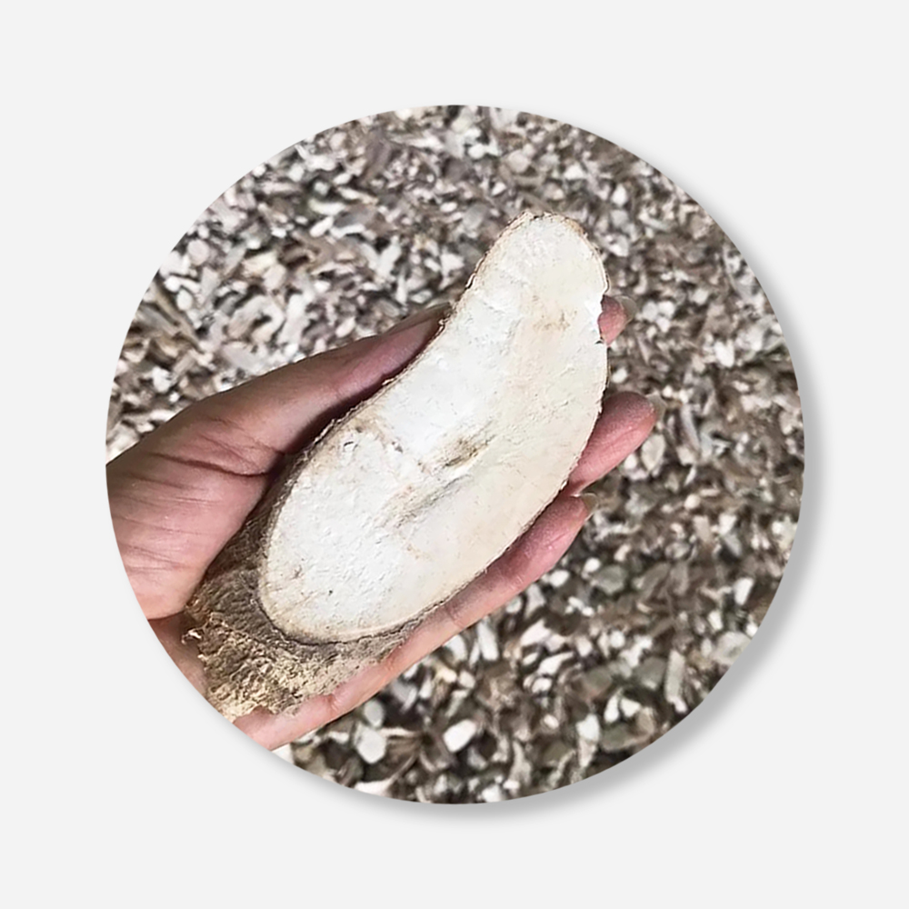 Dried Cassava Chips For Food Industry or Making Animal Feed and Ethanol Thailand