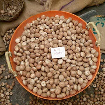 Гайки Betel