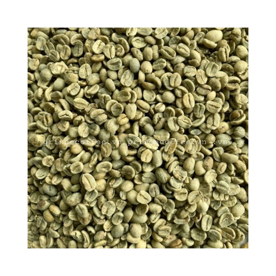 Free Sample Cost Green Coffee beans with Wholesale Arabica Green Coffee Beans Vietnam Manufacturer