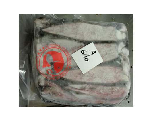 FROZEN SQUID (LOLIGO) WHOLE ROUND