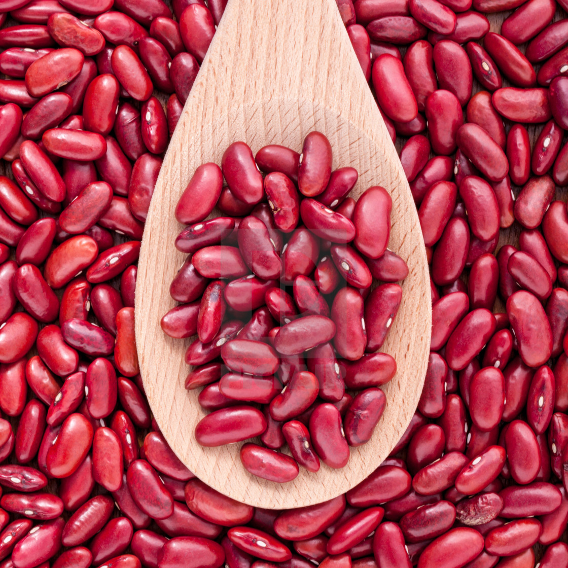 Красная фасоль pinto beans sugar beans
