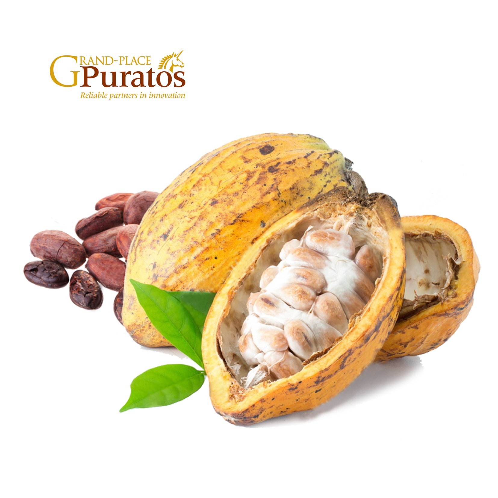 Trinitario Vietnam Highland Cocoa Beans - Fruity & Nutty Flavor