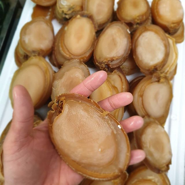 100% Frozen Gold Abalone Food Grade Frozen Seafood Abalone