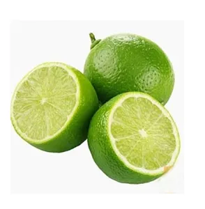 Top Quality Growth From Vietnam Garden Wholesale Lime Seed/Seedless Fresh Lemons