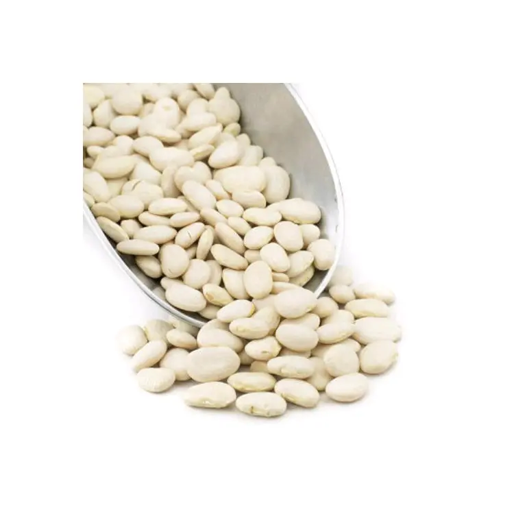 Premium Quality Hot Selling Dried White Butter Beans at Attractive Price