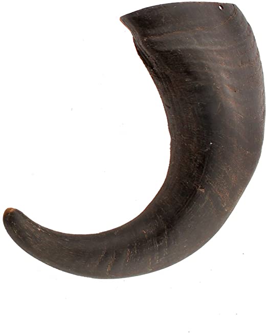 Buffalo whole horn raw material indian horn