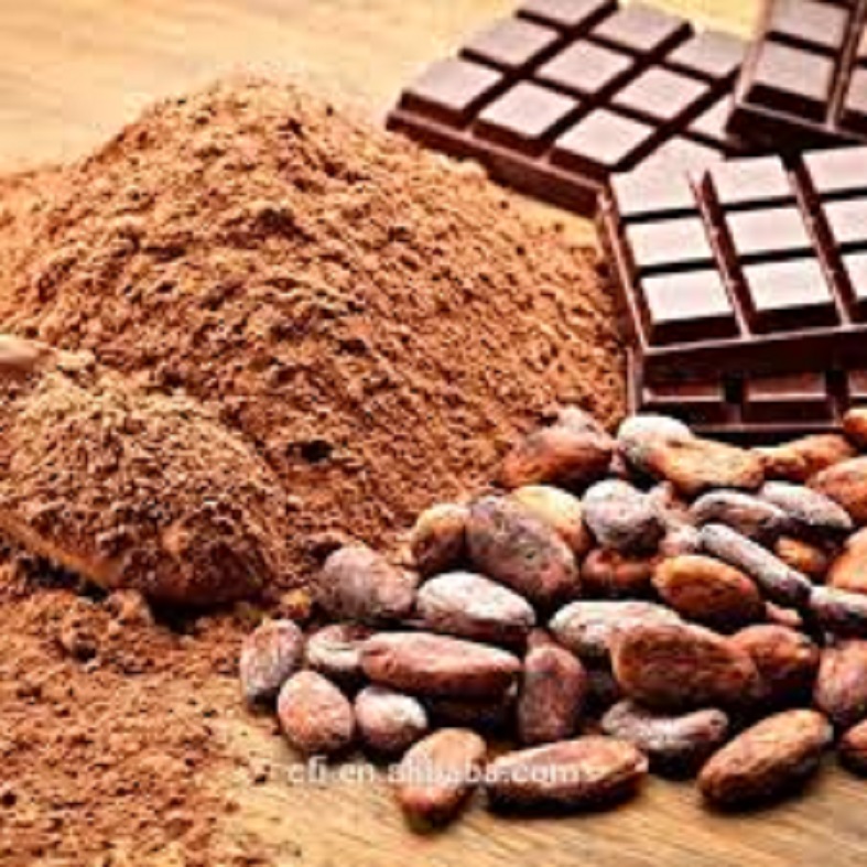 Органические какао бобы цена