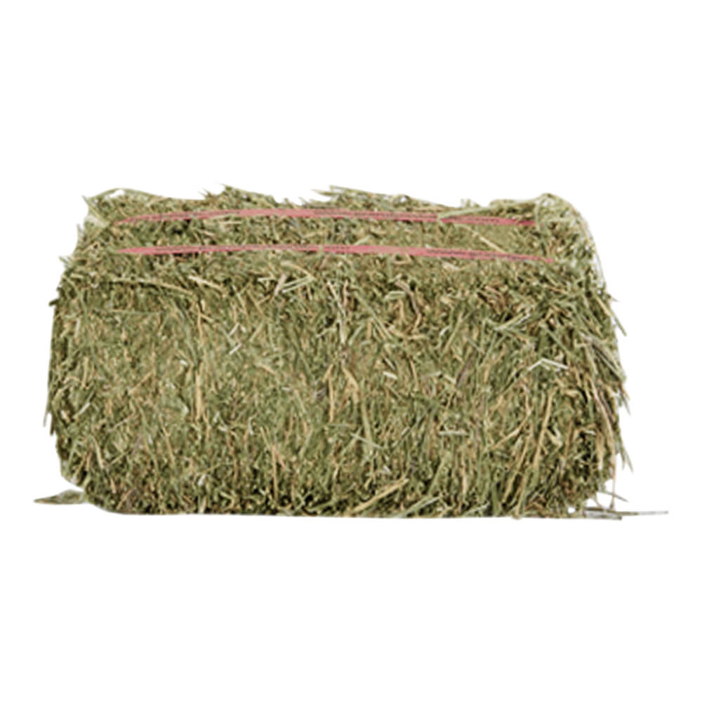 Natural Cattle Alfalfa Hay Animal Feed for sale