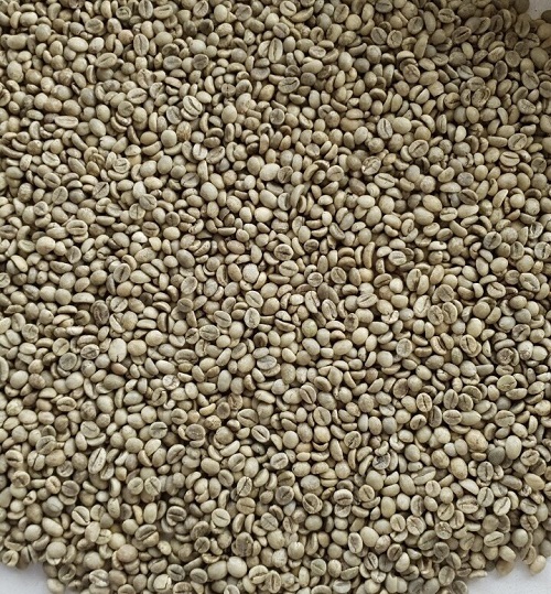 КОФЕ Robusta S18 WP