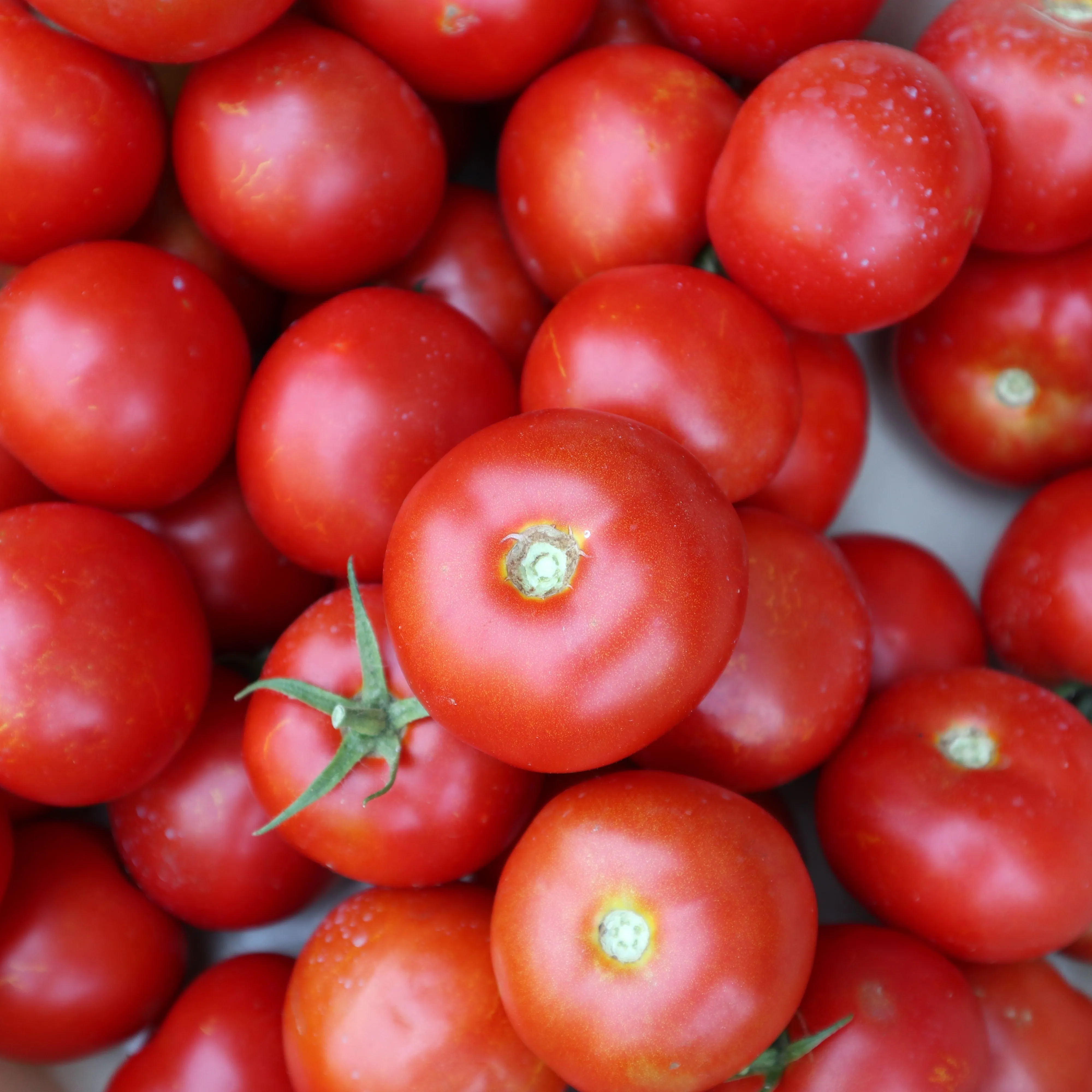 High quality Italian Tomato puree with the best Italian organic tomatoes