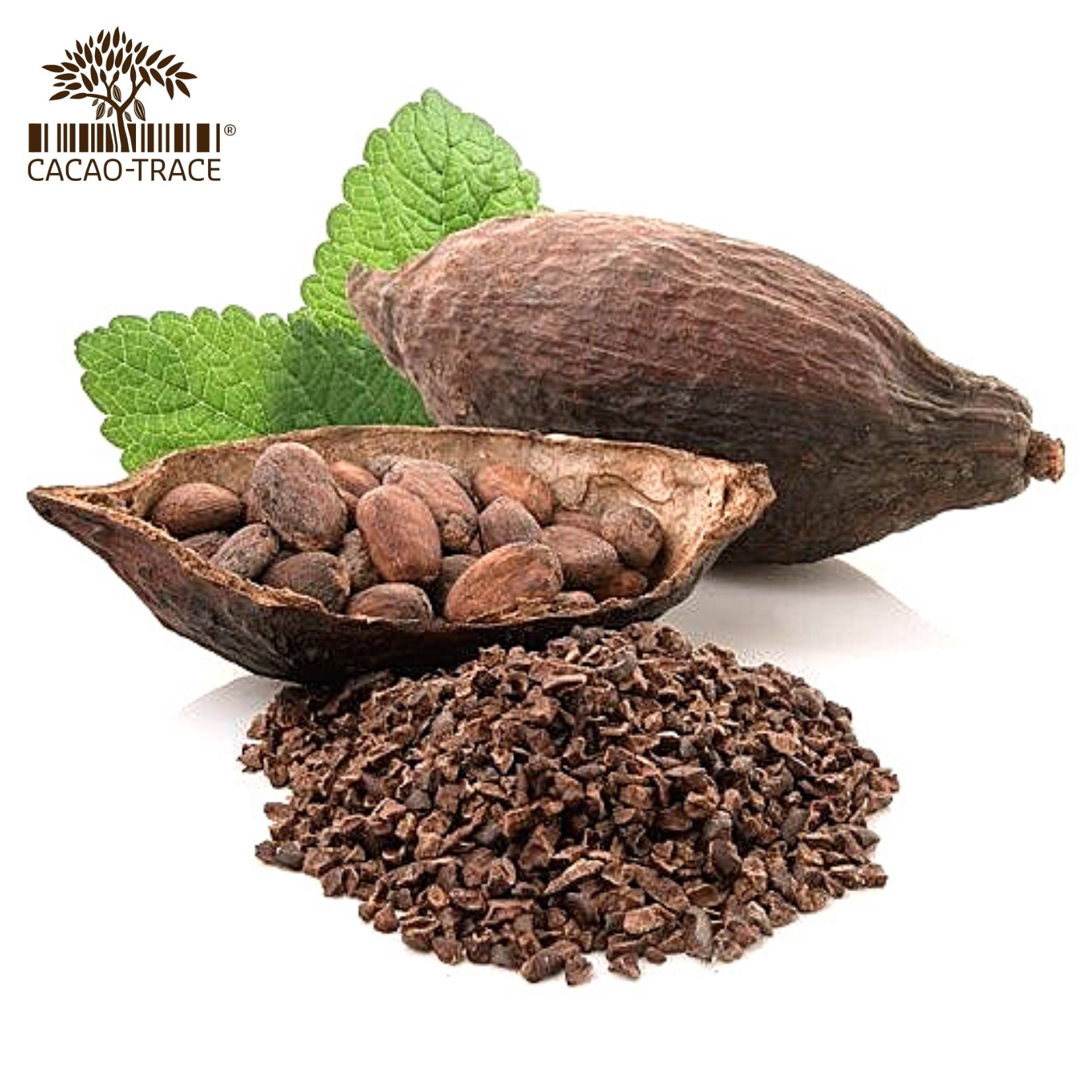 Семена какао roties de haricots des flatdu Vietnam - Notes fruitees
