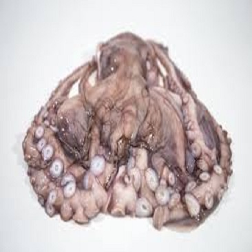 Замороженный на пару 10 кг оригинальный вкус maki octopus Новинка оптовая продажа свежий продукт для морепродуктов