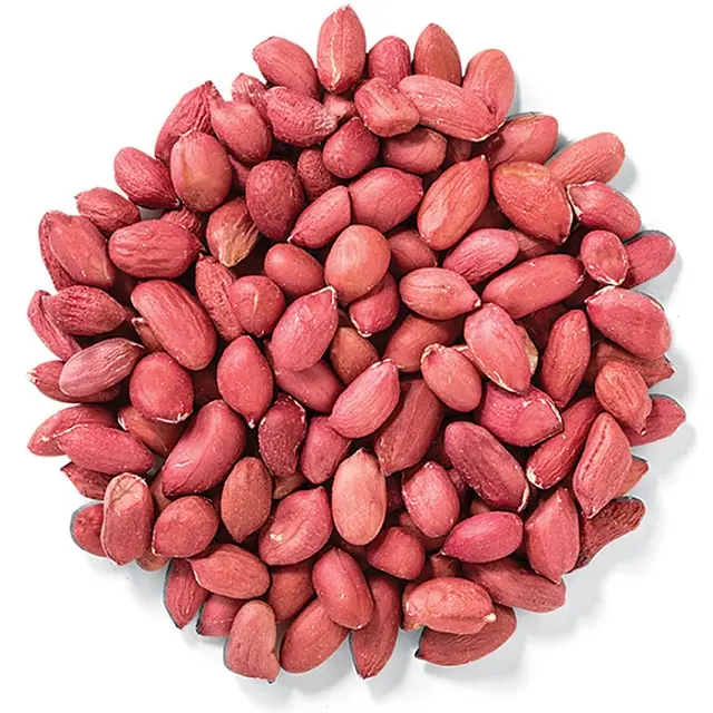 Peanut - Arachis hypogaea - Groundnut
