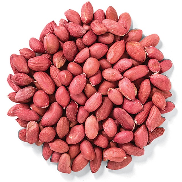 Peanut - Arachis hypogaea - Groundnut