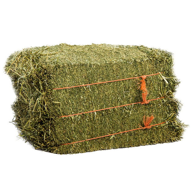 Super Top Quality Alfafa Hay for Animal Feeding Stuff Alfalfa / Timothy / Alfalfa Hay