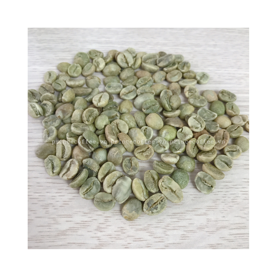HOT PRICE Vietnam Coffee Beans Arabica Robusta Green Coffee Bean HIGH GRADE Raw Coffee Beans