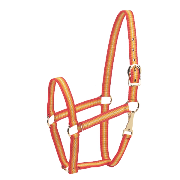 Economy Horse Halter