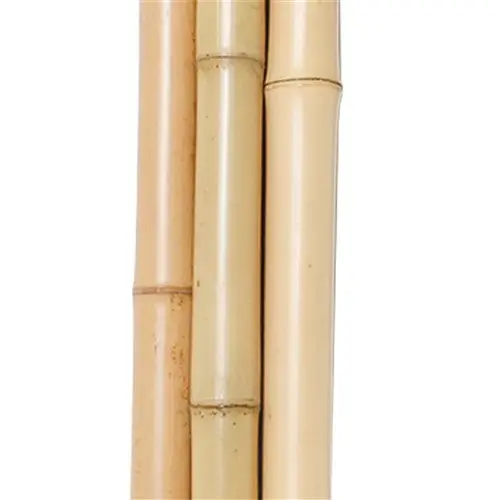 Sustainable Natural Bamboo Poles/ Decorative Bamboo Poles/ Bamboo Poles Wholesale Cheapest Price For Your Choice In Vietnam