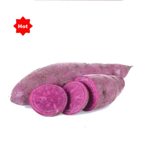 Fresh Purple Sweet Potato / Cheap Price Fresh Purple Sweet Potato