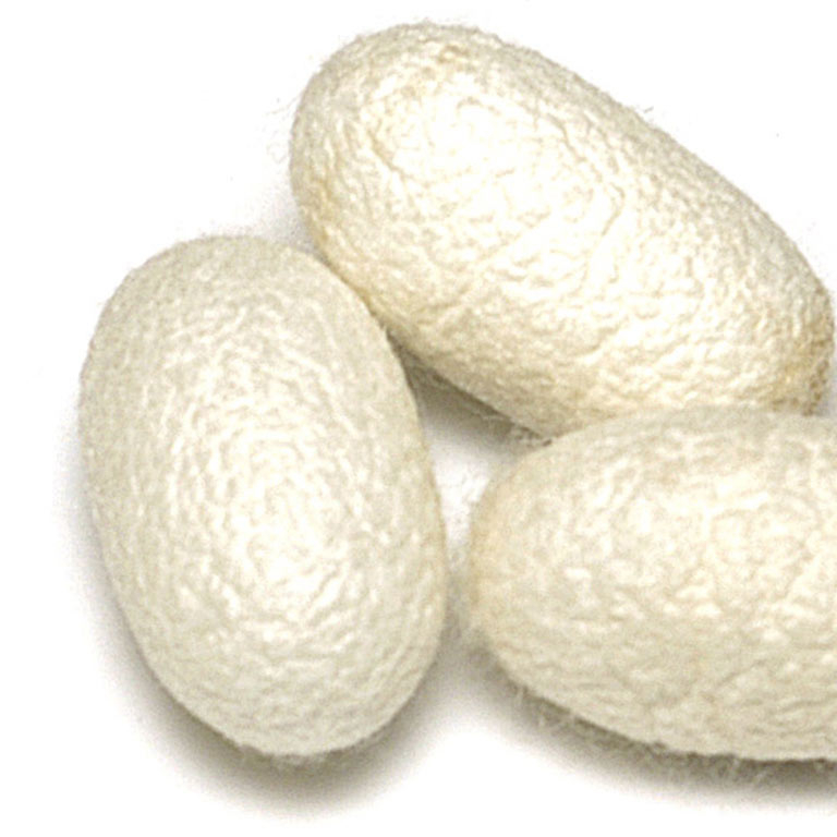 Undyed Mulberry Silk Cut Cocoons Silk Worm Fibres/ Opening Silkworm Cocoon for Export Ms.Lucy +84 929 397 651