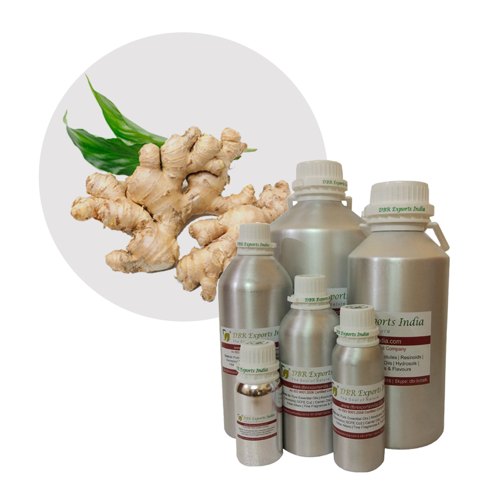 Ginger Oil 100% Pure & Natural Manufacturer of Ginger Oil Certified Quality of Ginger Oil from India