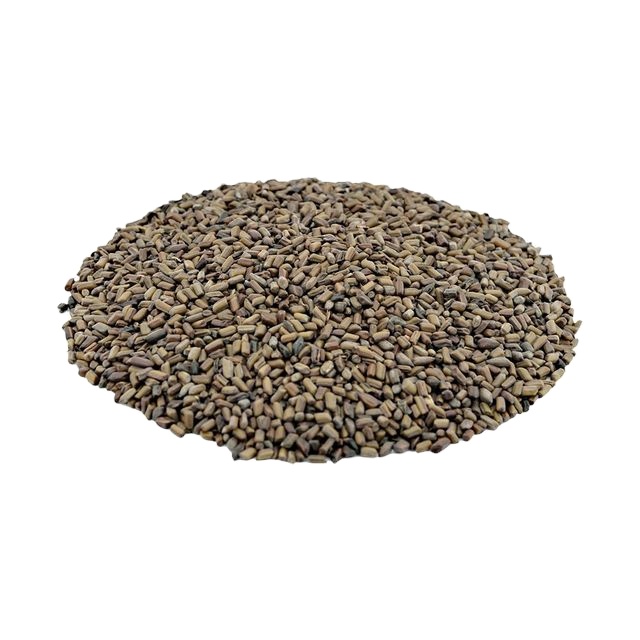 Indian Origin Premium Quality Cassia Tora Seed With 100% Sorted