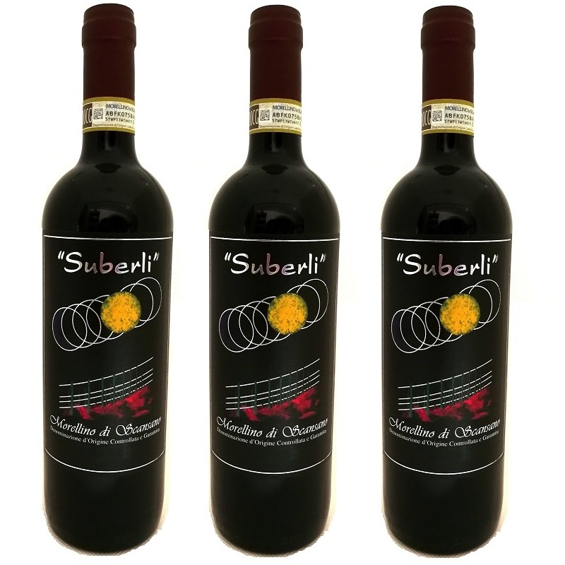 HOT SALE MADE IN ITALY RED WINE red wine table and aperitif wine with intense fruity note 750ml 2015 FOR EXPORT