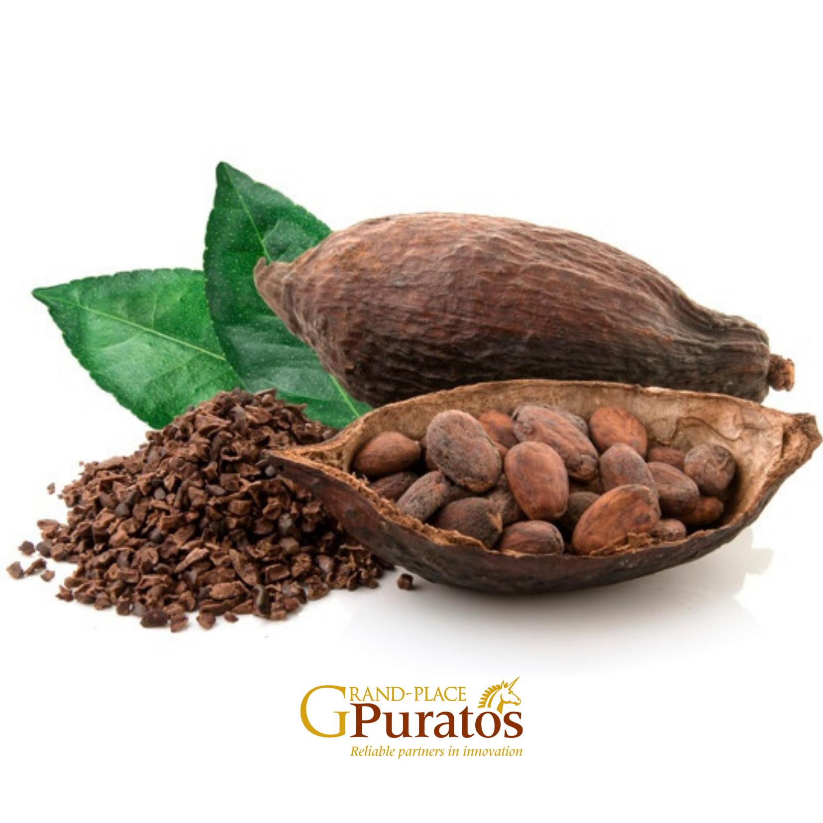 Fruity & Spicy Cocoa Beans - Vietnam Mekong Origin