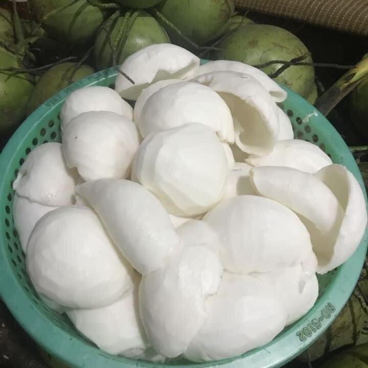 FROZEN COCONUT MEAT high quality and rich fat +84 8 988 626 98