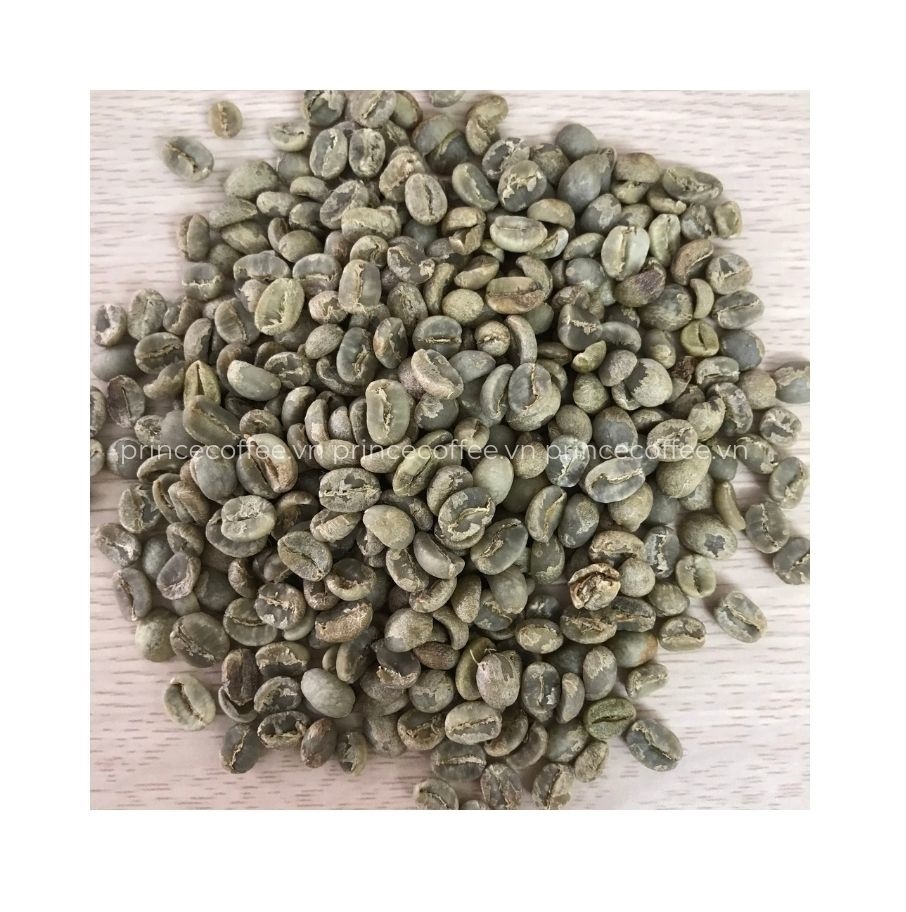Vietnam Coffee Beans WHOLESALE Arabica Robusta Green Coffee Beans HIGH GRADE Raw Coffee Bean