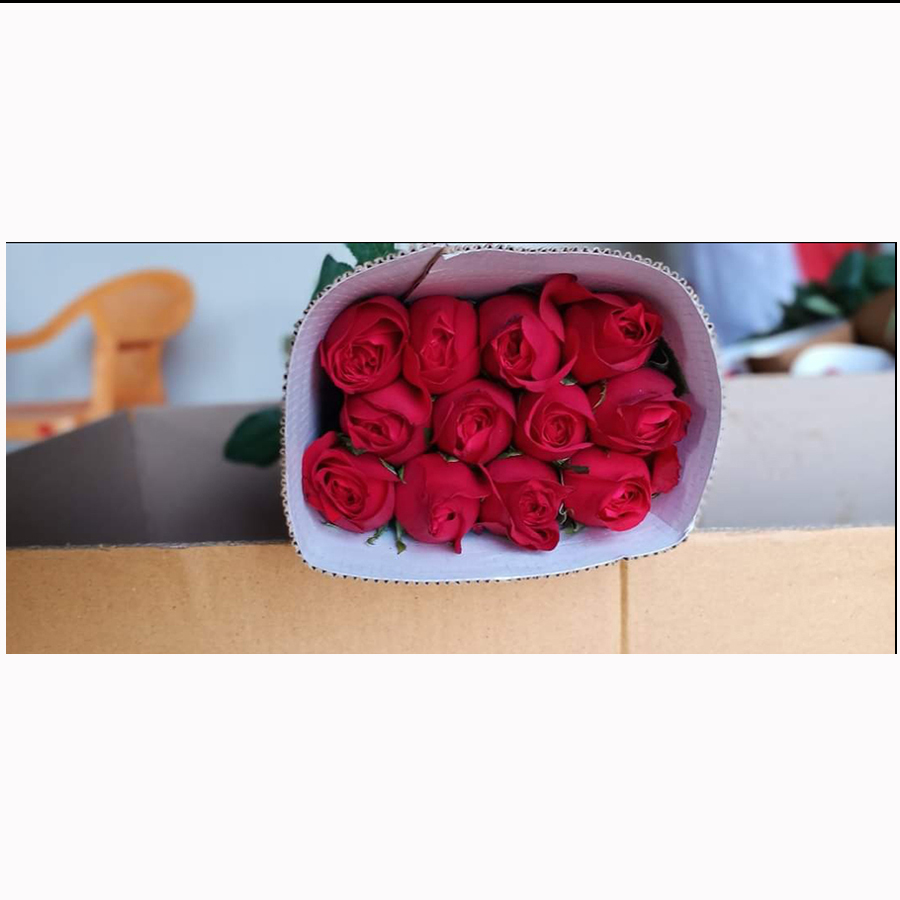 Свежие оптовые горячие розы, экспортируемые из Индии от VENSAI Roses