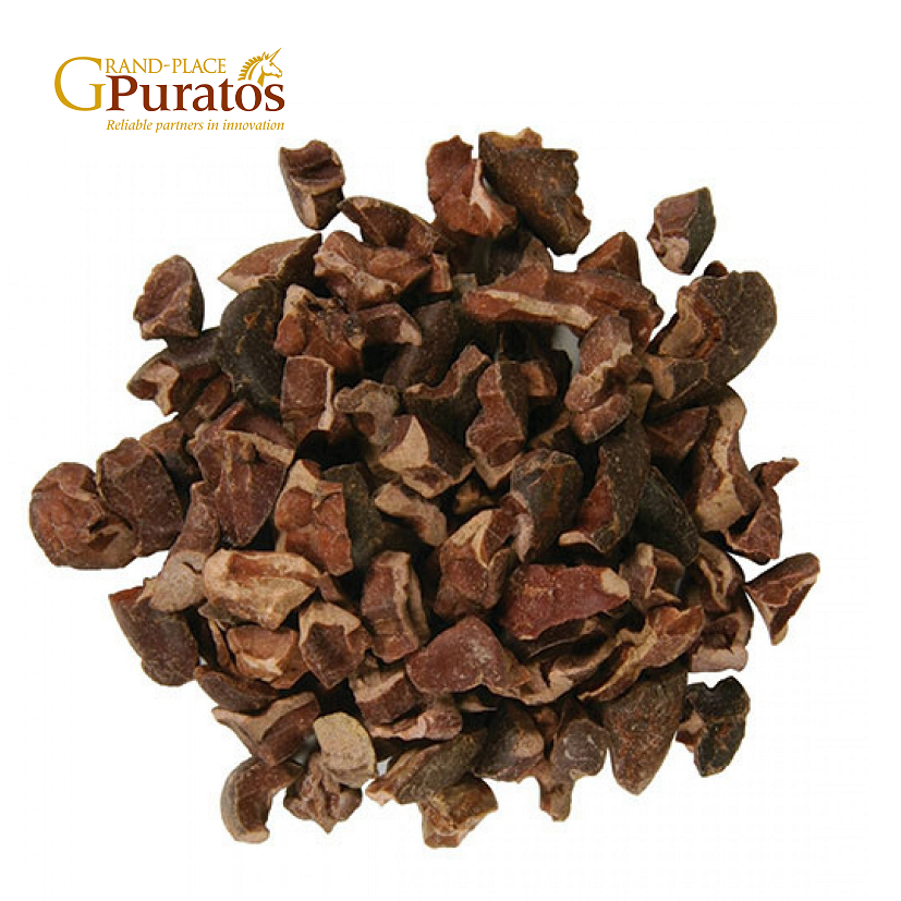 Fine Flavor Roasted Vietnam Cocoa Nibs - CacaoTrace Standards