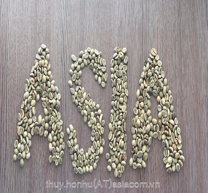 Продажа вьетнамских кофейных зерен robusta с экраном 16 по самой низкой цене whatsapp + 84 976686134