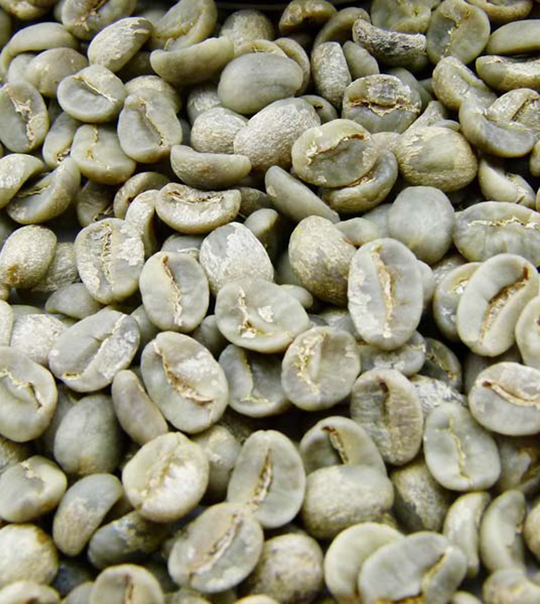 Вьетнамские моющиеся зеленые кофейные зерна ARABICA класса 1. SCR18