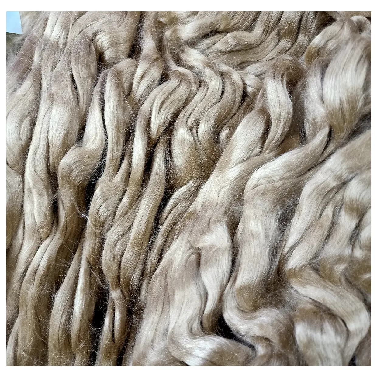 naturally golden muga silk sliver and tops suitable for yarn and fiber store