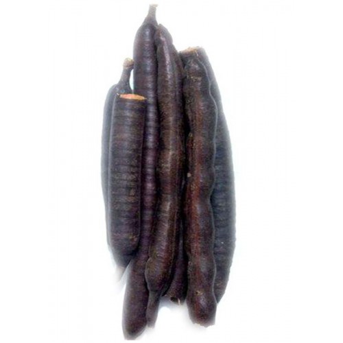 Cassia Fistula/Amaltas